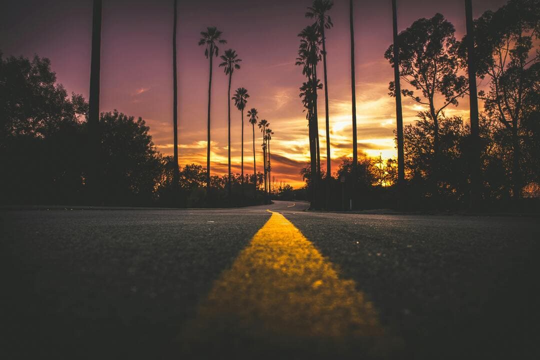 Road in City during Sunset Image.