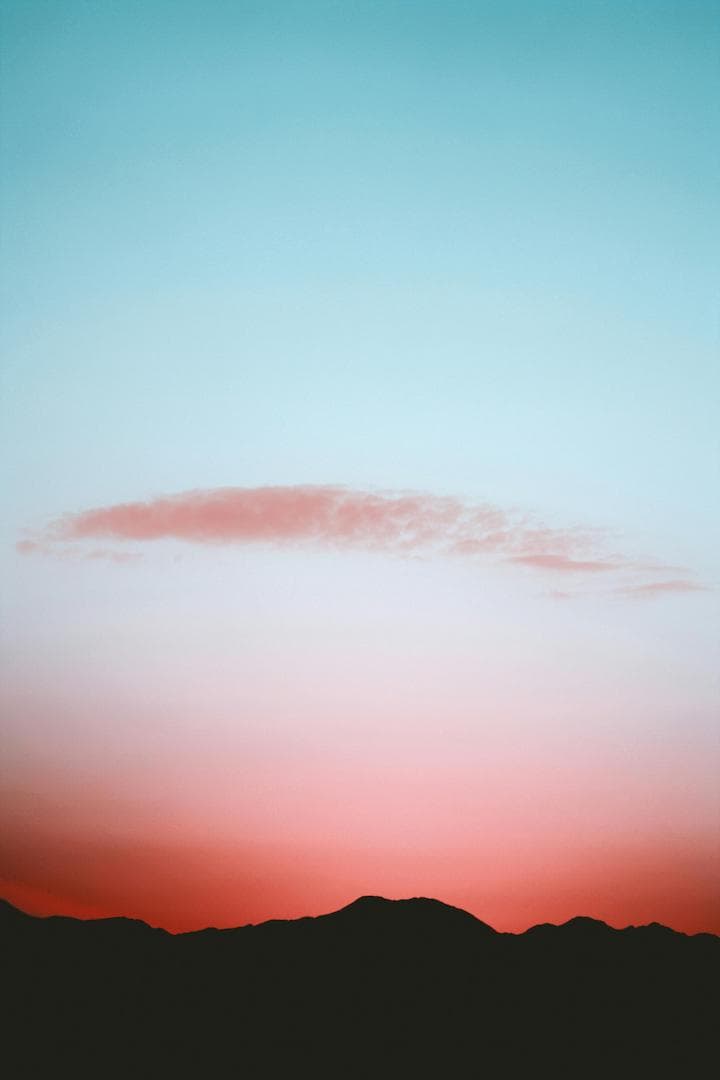 Silhouette Of Trees During Sunset Image.